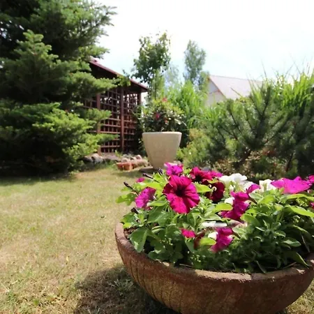 公寓 Schoene In Mit Garten Und Grill Und In Der Naehe 里沃